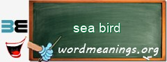 WordMeaning blackboard for sea bird